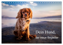 Dein Hund der treue Begleiter (Wandkalender 2024 DIN A4 quer), CALVENDO Monatskalender