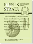 Coniacian and Santonian Belemnite