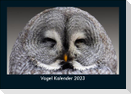 Vogel Kalender 2023 Fotokalender DIN A5