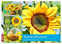 Sonnenblumen. Das Strahlen des Sommers (Tischkalender 2024 DIN A5 quer), CALVENDO Monatskalender