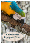 Kunterbunter Papageien-Planer (Wandkalender 2025 DIN A2 hoch), CALVENDO Monatskalender