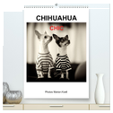 CHIHUAHUA CHIC Photos Marion Koell (hochwertiger Premium Wandkalender 2024 DIN A2 hoch), Kunstdruck in Hochglanz
