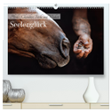 Seelenglück Kalender - Pferde - Charakter, Stärke, Weisheit (hochwertiger Premium Wandkalender 2025 DIN A2 quer), Kunstdruck in Hochglanz