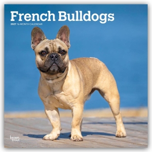 Publishers, Browntrout. French Bulldogs - Französische Bulldogge 2027 - 16-Monatskalender - Original BrownTrout-Kalender [Mehrsprachig] [Kalender]. Browntrout Verlags GmbH, 2026.