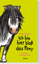 Ich bin hier bloß das Pony