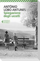 Spiegazione degli uccelli