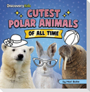 Cutest Polar Animals of All Time