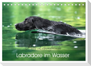 Labradore im Wasser (Tischkalender 2025 DIN A5 quer), CALVENDO Monatskalender