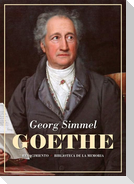 Goethe : seguido del estudio Kant y Goethe para la historia de la concepción moderna del Mundo