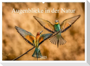 Augenblicke in der Natur (Wandkalender 2025 DIN A2 quer), CALVENDO Monatskalender