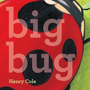 Cole, Henry. Big Bug. Little Simon, 2014.