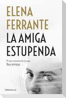 La Amiga Estupenda / My Brilliant Friend