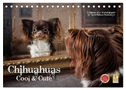 Chihuahuas - Cool and Cute (Tischkalender 2025 DIN A5 quer), CALVENDO Monatskalender