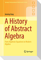 A History of Abstract Algebra