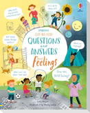 Lift-The-Flap Questions and Answers about Feelings
