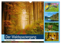 Der Waldspaziergang (Wandkalender 2024 DIN A3 quer), CALVENDO Monatskalender
