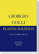 Platón político