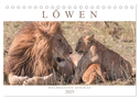 Löwen - Raubkatzen Afrikas (Tischkalender 2025 DIN A5 quer), CALVENDO Monatskalender