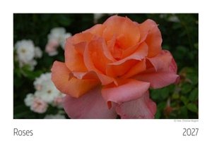 Roses Kalender 2027. Scantinental Business Age, 2026.