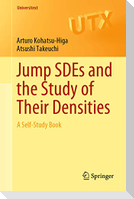 Jump SDEs and the Study of Their Densities