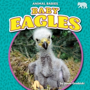 Grodzicki, Jenna. Baby Eagles. Bearport Publishing by Flutterbee, 2022.