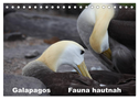 Galapagos. Fauna hautnah (Tischkalender 2024 DIN A5 quer), CALVENDO Monatskalender