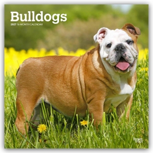 Publishers, Browntrout. Bulldogs - Bulldogge 2027 - 16-Monatskalender - Original BrownTrout-Kalender [Mehrsprachig] [Kalender]. Browntrout Verlags GmbH, 2026.