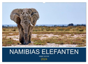 Namibias Elefanten (Wandkalender 2024 DIN A2 quer), CALVENDO Monatskalender