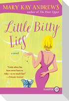 Little Bitty Lies LP