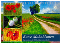 Bunte Mohnblumen - Impressionen der Mohnblüte in Acrylfarbe (Tischkalender 2024 DIN A5 quer), CALVENDO Monatskalender