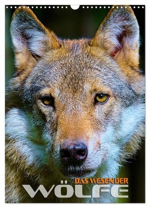 Utz, Renate. Das Wesen der Wölfe (Wandkalender 2024 DIN A3 hoch), CALVENDO Monatskalender - Faszinierende Bilder aus dem Lebensraum des Wolfes. Calvendo, 2023.