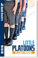 Little Platoons