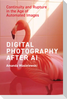 Digital Photography After AI