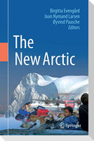 The New Arctic