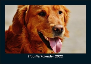 Tobias Becker. Haustierkalender 2022 Fotokalender DIN A5 - Monatskalender mit Bild-Motiven von Haustieren, Bauernhof, wilden Tieren und Raubtieren. Vero Kalender, 2021.