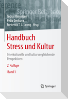 Handbuch Stress und Kultur