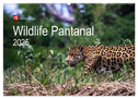 Wildlife Pantanal 2025 (Wandkalender 2025 DIN A2 quer), CALVENDO Monatskalender