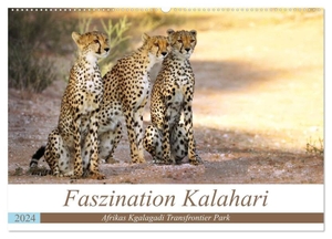 Woyke, Wibke. Faszination Kalahari (Wandkalender 2024 DIN A2 quer), CALVENDO Monatskalender - Afrikas Kgalagadi Transfrontier Park. Calvendo, 2023.