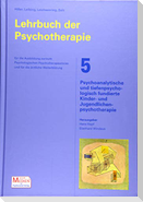 Lehrbuch der Psychotherapie / Bd. 5: Psychoanalytische und tiefenpsychologisch fundierte Kinder- und Jugendlichenpsychotherapie
