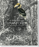 A Walk Through the Rainforest