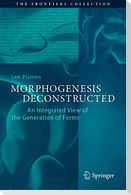 Morphogenesis Deconstructed