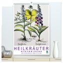 Heilkräuter: Historische Zeichnungen und Stiche (hochwertiger Premium Wandkalender 2024 DIN A2 hoch), Kunstdruck in Hochglanz
