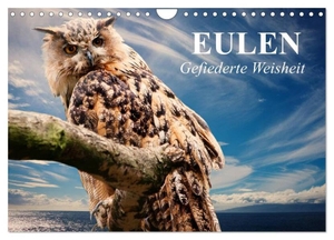 Stanzer, Elisabeth. Eulen. Gefiederte Weisheit (Wandkalender 2026 DIN A4 quer), CALVENDO Monatskalender - Bernsteinaugen die man selten zu Gesicht bekommt. Calvendo, 2025.