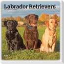 Labrador Retrievers - Labrador Retriever 2027 - 16-Monatskalender