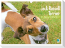 Jack Russell Terrier: flink und verspielt (Wandkalender 2024 DIN A3 quer), CALVENDO Monatskalender