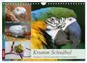 Krumm Schnäbel - Papageien, Sittiche und andere Krumm Schnäbel (Wandkalender 2024 DIN A4 quer), CALVENDO Monatskalender