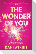 The Wonder of You
