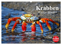 Krabben. Witzige Monster (Wandkalender 2024 DIN A2 quer), CALVENDO Monatskalender