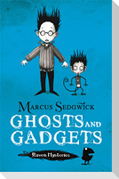 Raven Mysteries: Ghosts and Gadgets