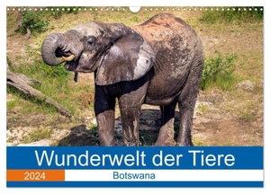 Fritsche, Dirk. Wunderwelt der Tiere - Botswana (Wandkalender 2024 DIN A3 quer), CALVENDO Monatskalender - Mit atemberaubenden Tieraufnahmen aus Botswana durch das Jahr. Calvendo, 2023.